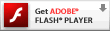 FLASH�ץ饰���������������